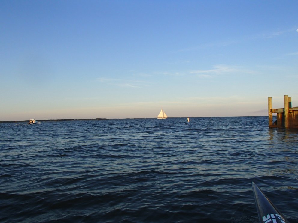 Skipjack under sail